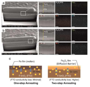 Cross-sectional scanning electron microscopic images of α-Fe2O3 photoanodes prepared by (a)one-step and (b) two-step annealing method.The textured regionis represented by a dark-field scanning electron microscopy images at a magnification of 150k and corresponds to the elemental maps of Fe, Sn, and O. The samples were partly melted due to the high energy of FIB during the sample preparation. (c) Schematic illustration of growth mechanism during the one-and two-step annealing processes.