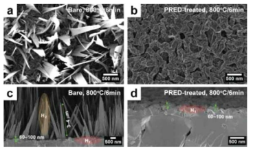 (a and b) Surface and (c and d) cross-sectional FESEM images of bare and PRED-treated Fe foil annealed at 800oC for 6 min, revealing nano-flake and nano-coral structures.