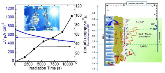 A. Schematic of charge transfer mechanism in metal oxide coated ZT photoanode. B. 28. Evolution of H2 and photocurrent density as a function of time measured at 0.1 V vs. Ag/AgCl using SZT as a photoelectrode under 100mW cm−2 light illumination in a three-electrode configuration, Inset shows a schematic of the photoelectrochemical hydrogen generation.