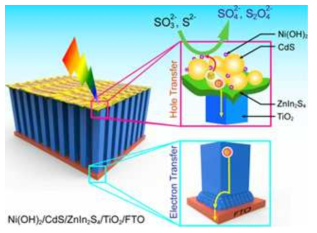Schematic diagram of the possible reaction mechanism and counter directed electron-hole separation in Ni(OH)2/CdS/ZnIn2S4/TiO2