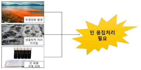 인 응집처리에 필요성