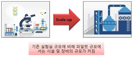 실험실 규모에서 파일럿 규모로 확장