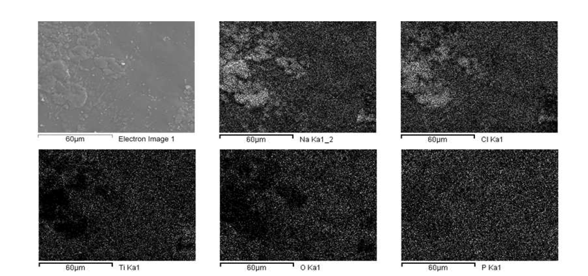 UHR-SEM의 Mapping 기능을 이용한 플록의 성상촬영(흑백)