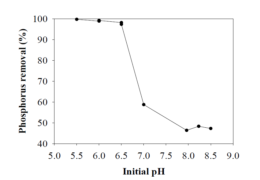 초기 pH에 따른 PO4-P 제거율