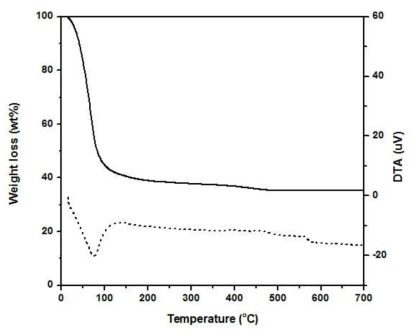 건조 슬러지의 TGA/DTA curve