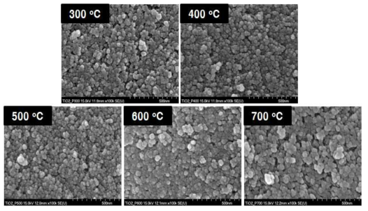 소성 온도에 따른 합성폐수 산화티탄의 SEM 이미지