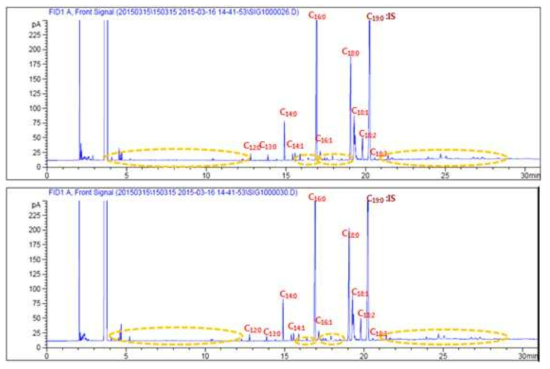 하수슬러지 바이오디젤(D 1차)의 FAME GC 분석 크로마토그램(노란색 미지 FAME)