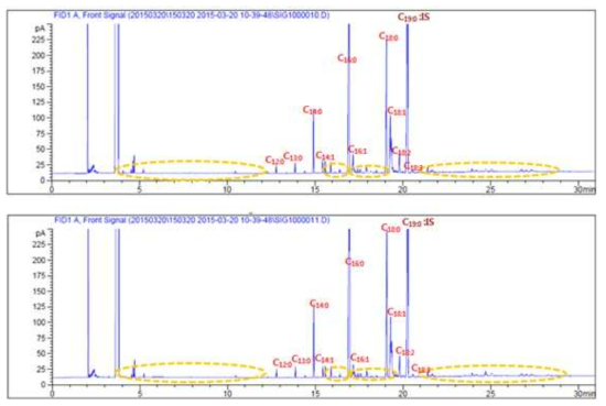 하수슬러지 바이오디젤(H 1차, 2차)의 FAME GC 분석 크로마토그램(노란색 미지 FAME)