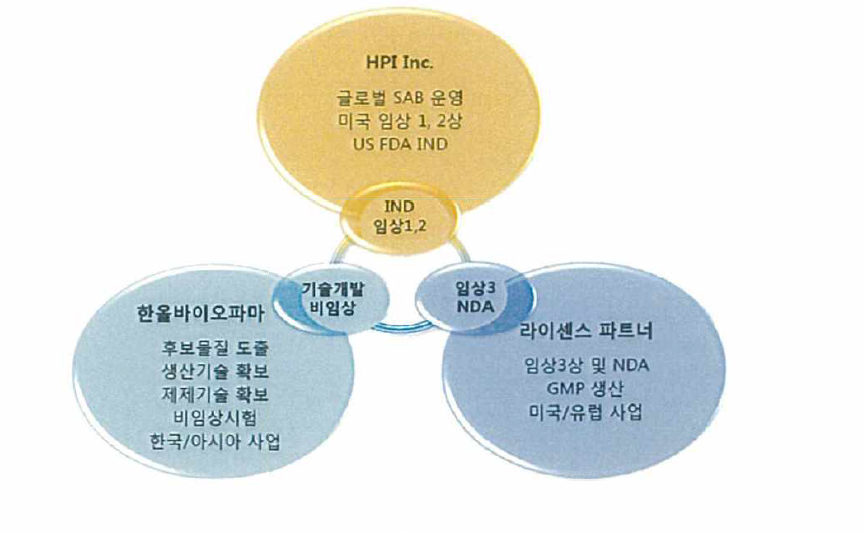 글로벌 사업화 전략도