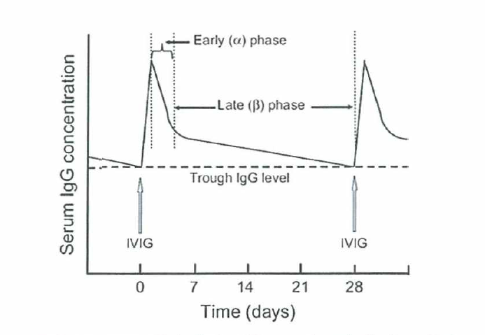 IVIG 투여 후의 혈중 IgG의 급속한 감소 현상