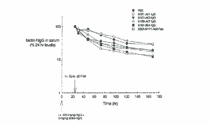 Dyax Lead IgG의 TG32 mouse에서의 IgG level 감소 효과