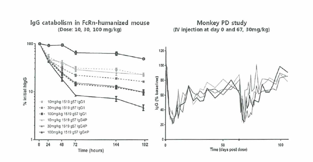 UCB Humanized IgG의 TG32 mouse에서의 IgG level 감소 효과
