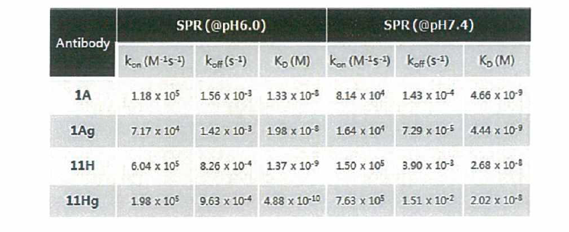 lAg 와 11Hg의 germlinging 항체 SPR 결과