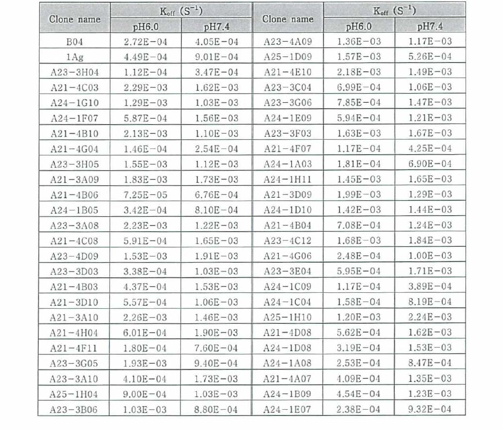 CDR1/2 affinity matured scFv 항체의 SPR(Koff rate) 분석 결과