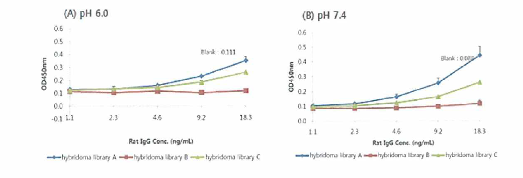 ELISA를 이용한 Hybridoma library의 hFcRn binding 평가