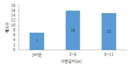 사면길이 분포