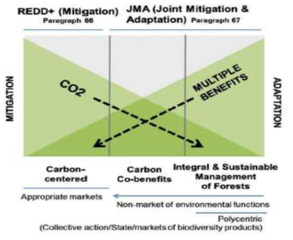 산림전용과 산림황폐화를 줄이기 위한 정책 접근