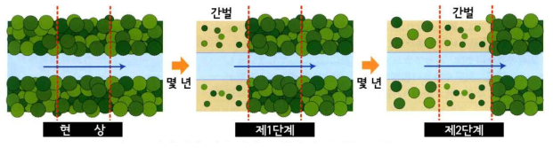 단계적 시공의 모식평면도