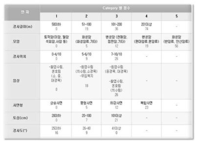 판정식 개발에 적용된 category 별 점수