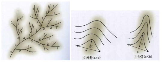 계곡의 차수 구분 및 1차곡의 판정도