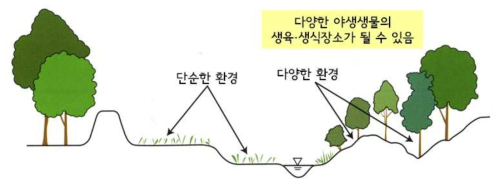 개발에 따른 환경의 단순화