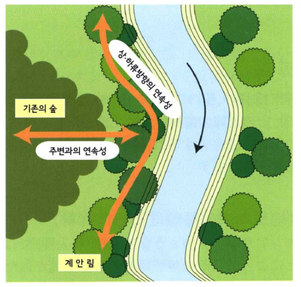 계안림의 연속성