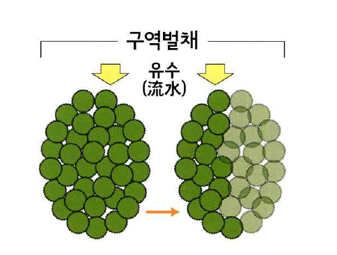 구역벌채의 모식도