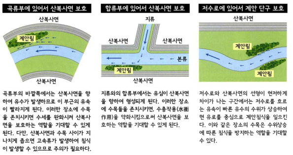 계안과 산복사면을 보호 및 침식을 방지하는 계안림