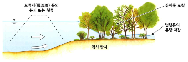 계안림에 의한 범람류 제어 및 유하물 포착