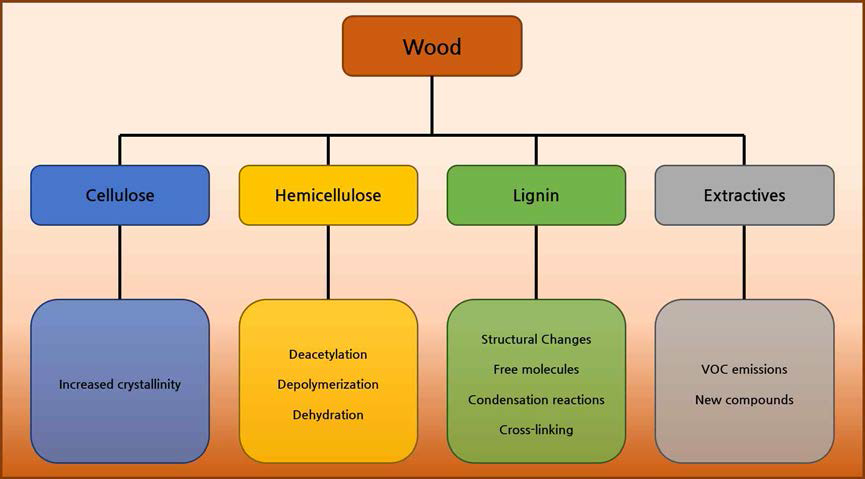 열처리에 의한 목재 주성분의 화학적 변화