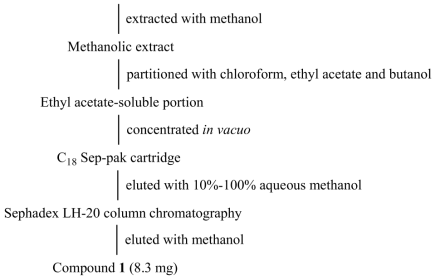 암갈색그물버섯으로부터 indole alkaloid 화합물의 정제 과정.