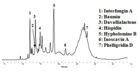 장수진흙버섯 polyphenol complex의 HPLC profile.