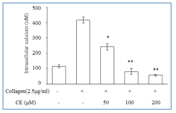 CE의 세포내 calcium 분비 억제능.