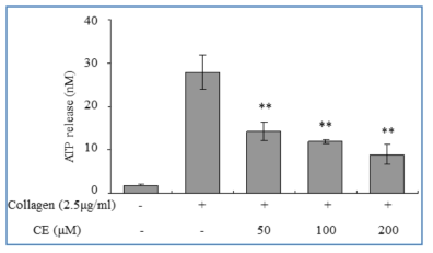 CE의 ATP 분비 억제 활성.