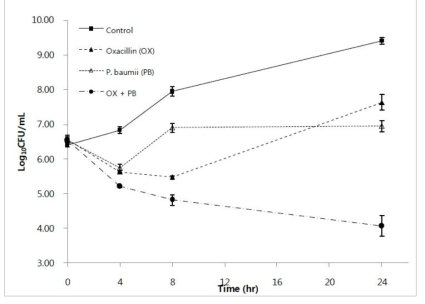 Time-killing assay를 통한 장수진흙버섯 폴리페놀 추출물과 oxacillin의 병합효과.