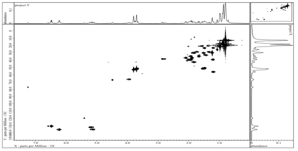 화합물 LSM-C-2의 HMQC spectrum.