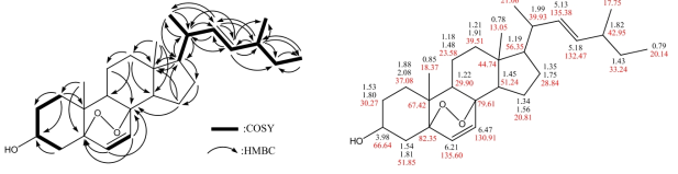1차원 및 2차원 NMR 실험에 의하여 규명된 LSM-C-2의 화학구조.