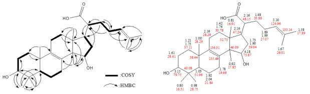 1차원 및 2차원 NMR 실험에 의하여 규명된 LSM-C-10의 화학구조.