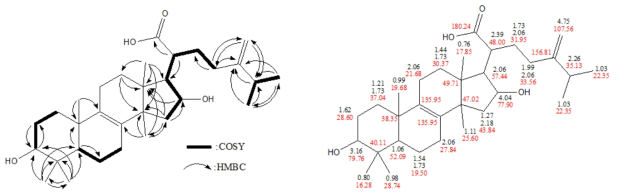 1차원 및 2차원 NMR 실험에 의하여 규명된 LSM-C-17의 화학구조.