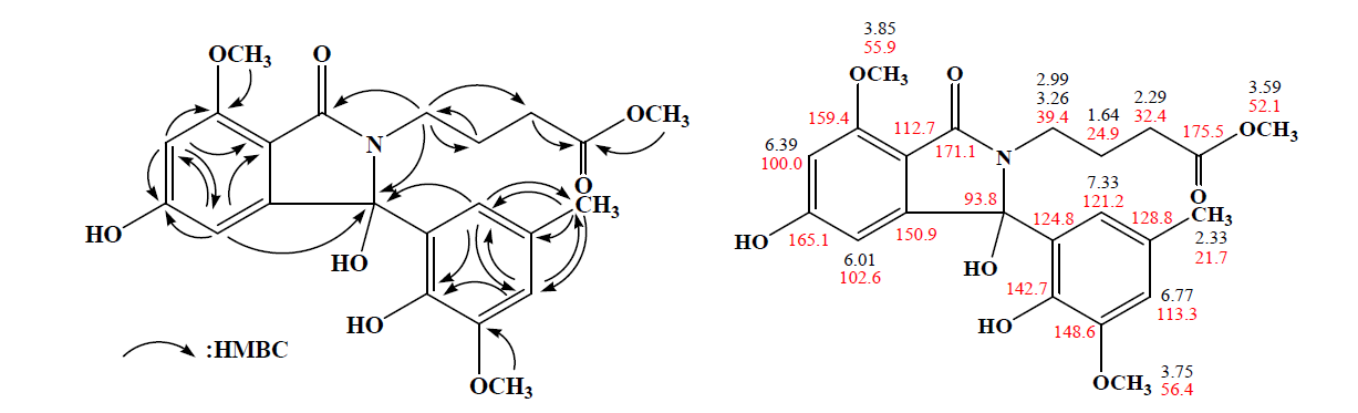 1차원 및 2차원 NMR 실험에 의하여 규명된 DCE-6의 화학구조.