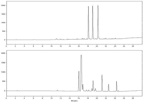 멍게먹물버섯 균주 1개월(상) 및 2개월(하) 정치배양액의 HPLC profile.