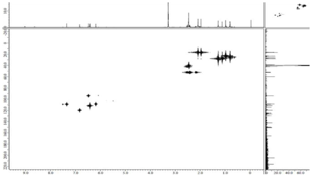 화합물 CE-D-2의 HMQC spectrum.