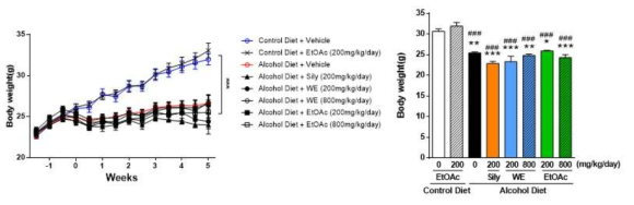 알코올성 지방간 유도 마우스에서 산겨릅 추출물 투여에 따른 체중변화