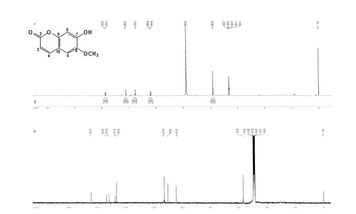 The 1H NMR (700 MHz), 13C NMR (175 MHz) spectrum of Scopoletin