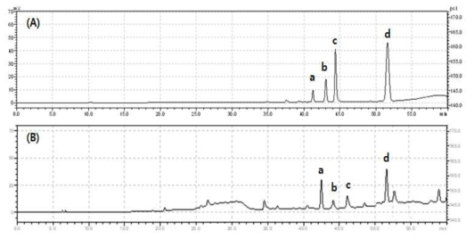 HPLC chromatogram (A) 표준용액, (B) 산겨릅나무 추출시료