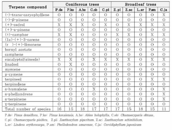 〉 headspace GC/MS 분석에 따른 테르펜화합물의 정성 분석 결과