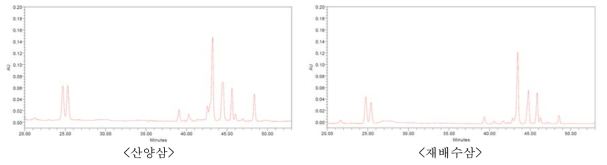 산양삼과 재배수삼 약리시료의 HPLC 크로마토그램