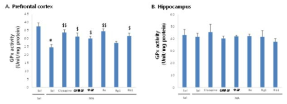 메탐페타민 (MA)에 의한 전전두엽에서의 glutathione peroxidase (GPx) 활성 감소에 대한 산양삼의 약리효과 (A). MA의 투여가 해마조직에서는 유의한 변화를 유도하지 않았음 (B). 각 수치는 5 마리의 평균 ± 표준오차를 의미함.