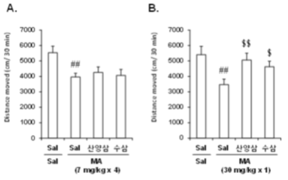 메탐페타민 (MA)에 의한 locomotor activity의 저하에 대한 산양삼의 약리효과.