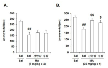 메탐페타민 (MA)에 의한 rota-rod performance의 이상에 대한 산양삼의 약리효과.
